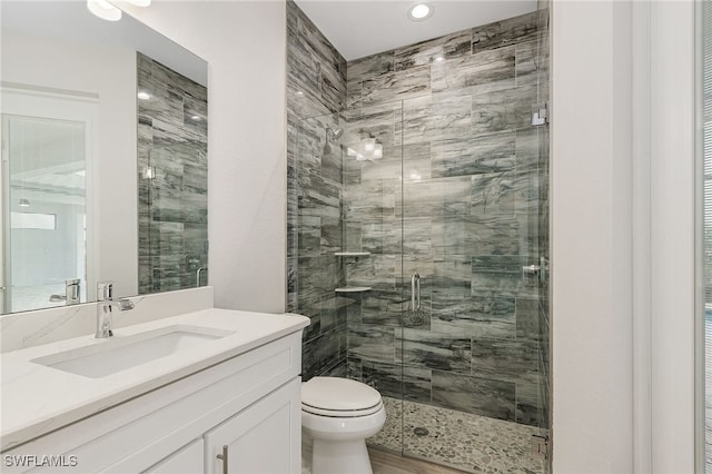 bathroom featuring vanity, toilet, and a shower with shower door