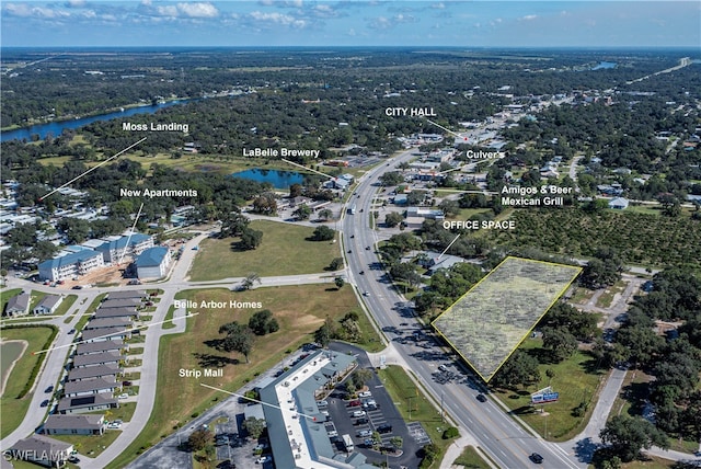 891 W Hickpochee Ave, Labelle FL, 33935 land for sale