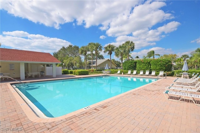 view of swimming pool featuring a patio