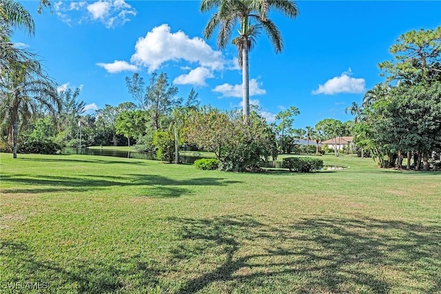 view of yard featuring a water view