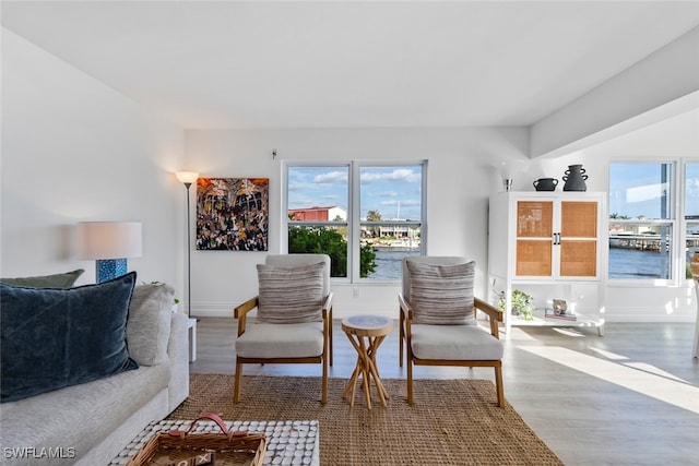 living room featuring hardwood / wood-style flooring, a water view, and a wealth of natural light