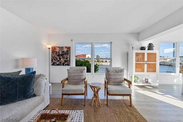 1100 8th Ave S Unit 230K, Naples, FL 34102 - living room with wood finished floors, baseboards, and a water view