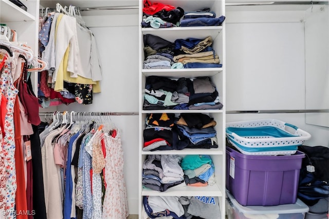 view of closet