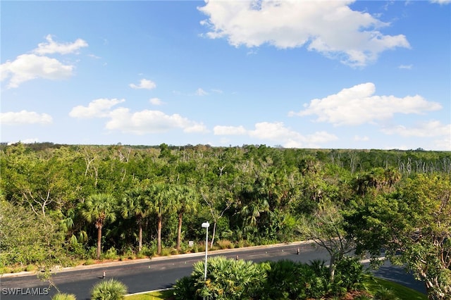269 Vintage Bay Dr Unit C-13, Marco Island, FL 34145 - view of mountain backdrop featuring a heavily wooded area
