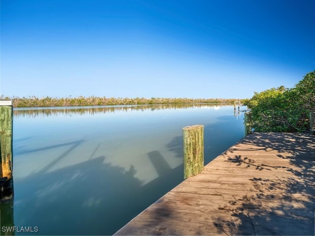 dock area featuring a water view