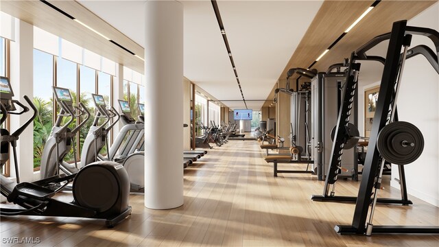 workout area featuring a healthy amount of sunlight and light hardwood / wood-style floors