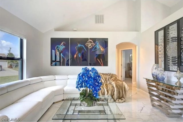 living room with lofted ceiling