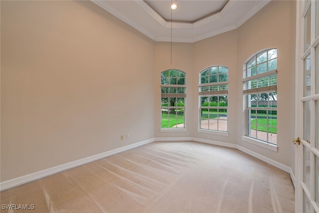 spare room with a healthy amount of sunlight, light colored carpet, and crown molding