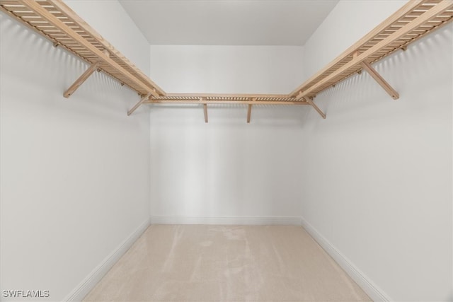 walk in closet with light carpet