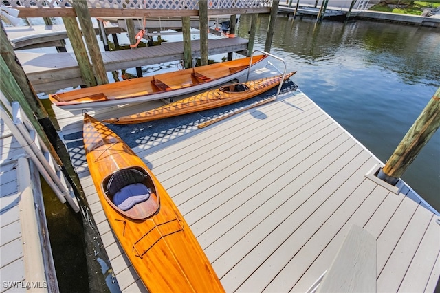 dock area with a water view