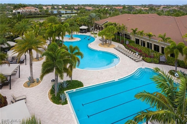 view of swimming pool with a patio