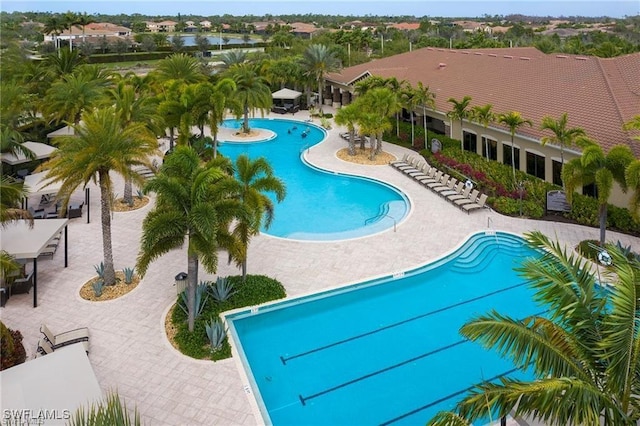 3741 Pleasant Springs Dr, Naples, FL 34119 - pool featuring a patio