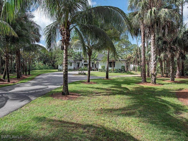 view of property's community featuring a yard