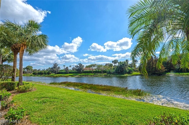 view of water feature