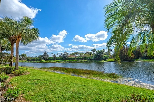 26414 Lucky Stone Rd Unit 101, Bonita Springs, FL 34135 - water view