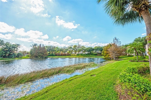 view of water feature