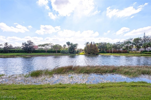 view of water feature