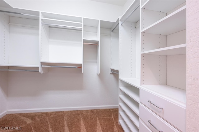 walk in closet featuring carpet floors