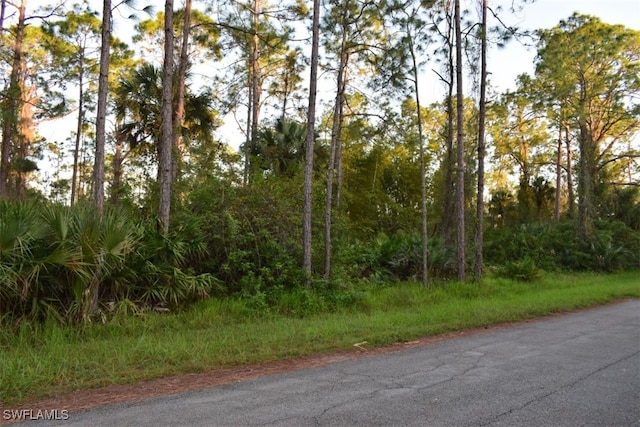 2310 Monroe Ave, Alva FL, 33920 land for sale