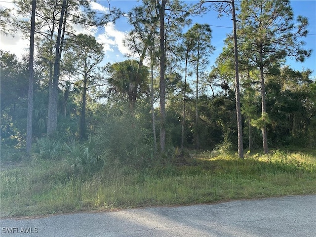 1711 Greenwood Ave, Lehigh Acres FL, 33972 land for sale