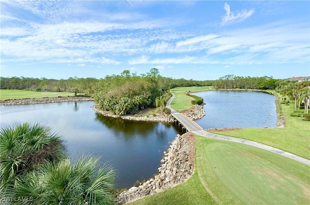 property view of water