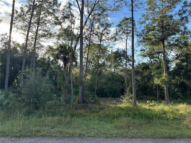 1713 Greenwood Ave, Lehigh Acres FL, 33972 land for sale