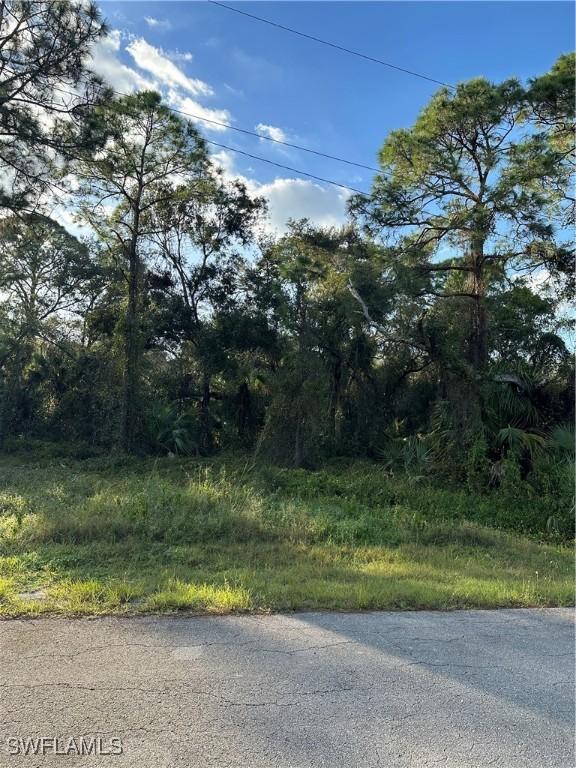 Listing photo 2 for 1713 Greenwood Ave, Lehigh Acres FL 33972