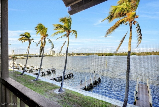 dock area with a water view