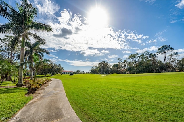 view of community with a lawn