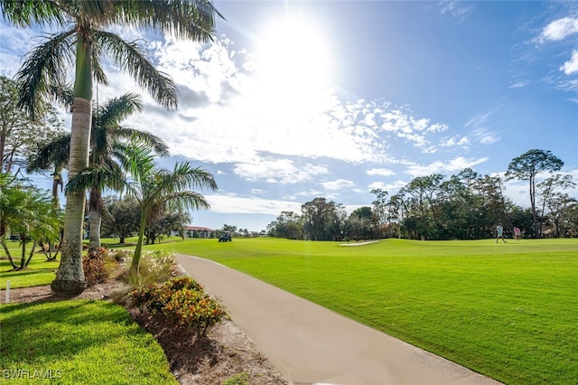 view of home's community with a lawn