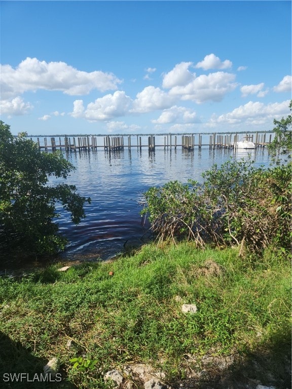 dock area with a water view