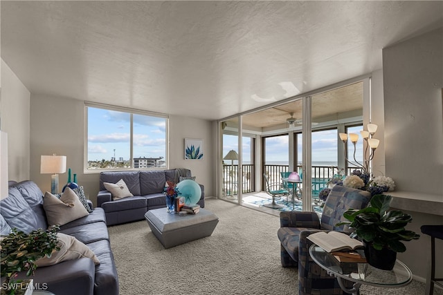 carpeted living room featuring a water view