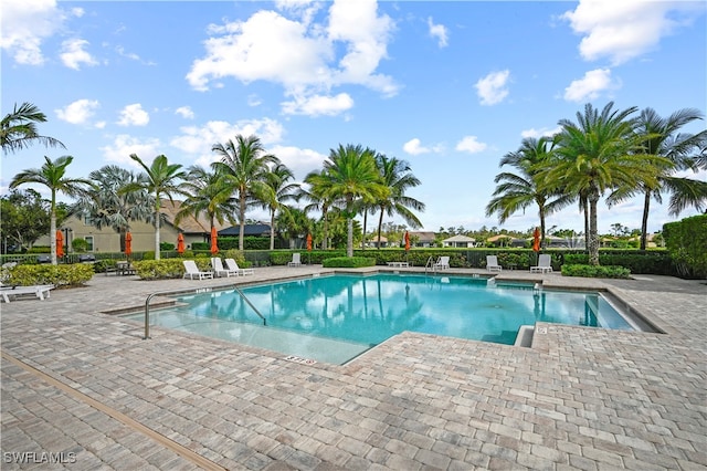 view of pool featuring a patio