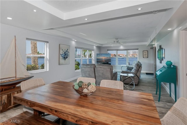 dining room featuring ceiling fan, hardwood / wood-style floors, and a raised ceiling