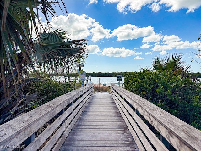 dock area with a water view