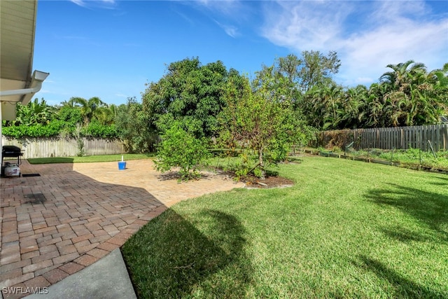 view of yard with a patio area