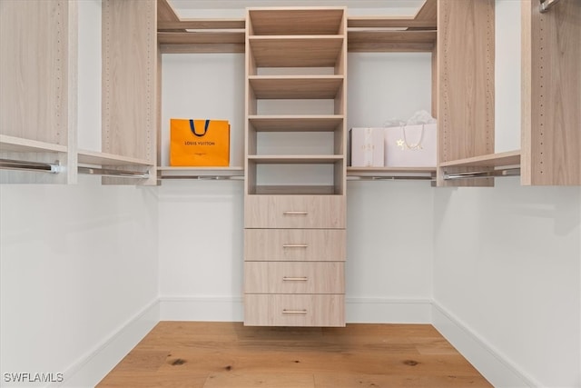 spacious closet featuring wood-type flooring