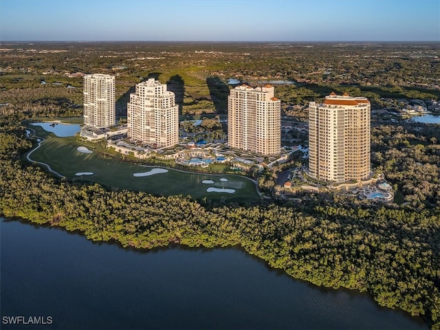 drone / aerial view with a water view