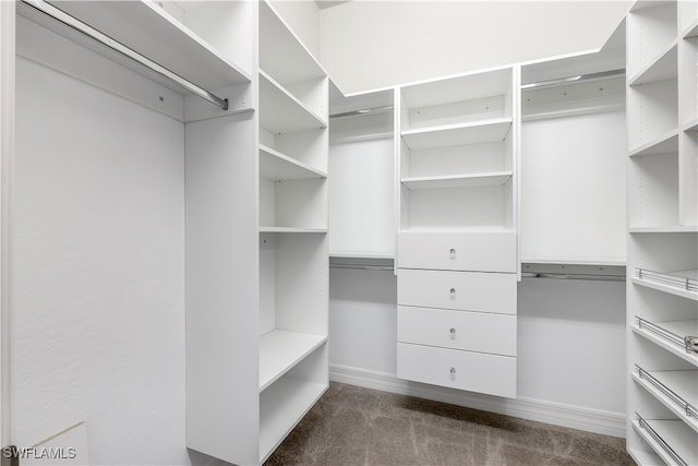 spacious closet with dark colored carpet