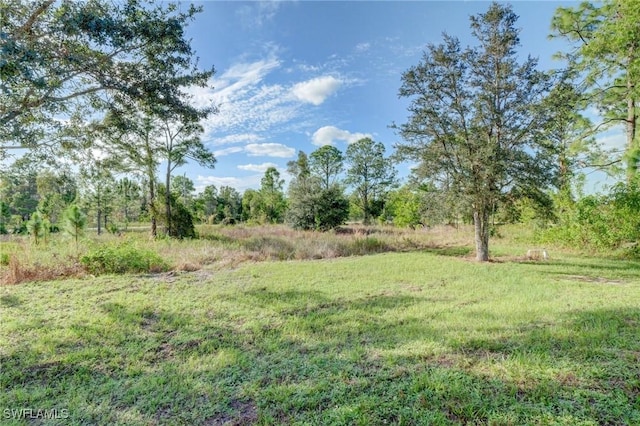 934 Garnet Ave, Lehigh Acres, FL 33974 - view of yard