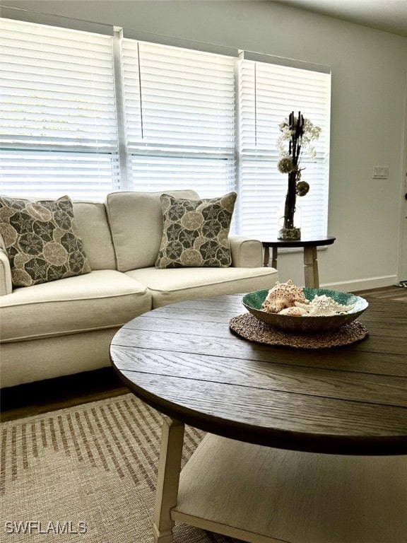 living room with hardwood / wood-style flooring