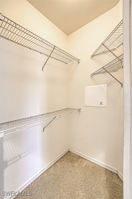 spacious closet with carpet