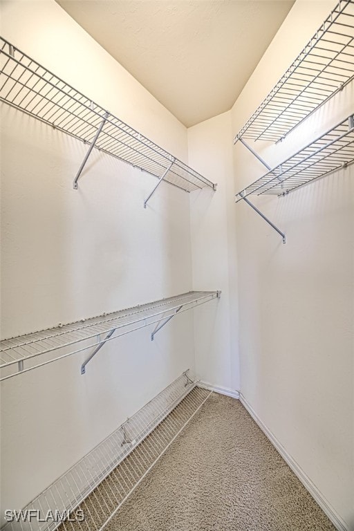 spacious closet with carpet flooring