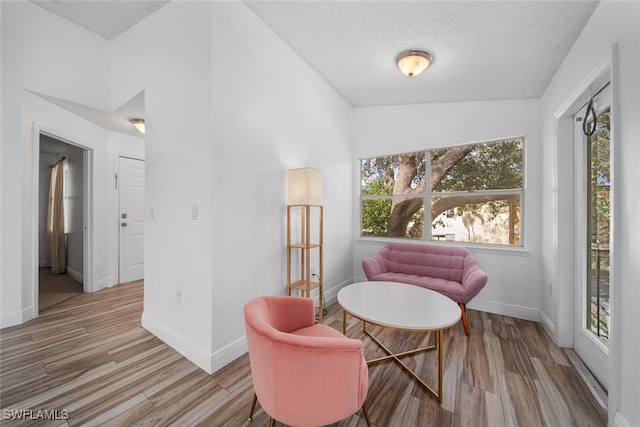 sitting room featuring a textured ceiling, light hardwood / wood-style flooring, and lofted ceiling