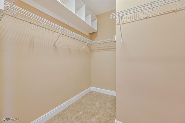 walk in closet with carpet floors