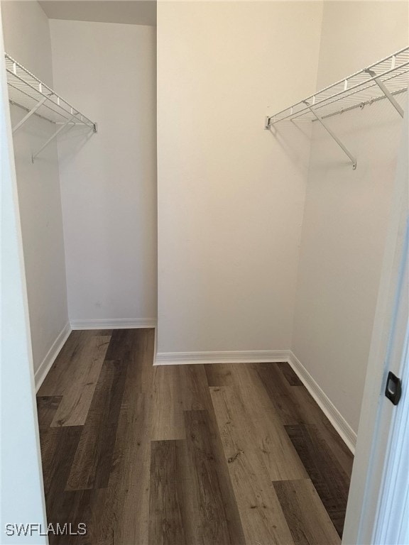 spacious closet with dark hardwood / wood-style flooring