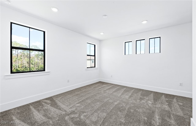 carpeted empty room featuring a healthy amount of sunlight