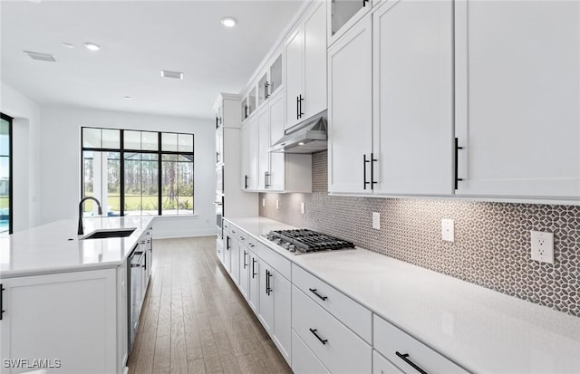 14111 Calaveras Ct, Estero, FL 33928 - kitchen with a sink, under cabinet range hood, stainless steel appliances, plenty of natural light, and recessed lighting