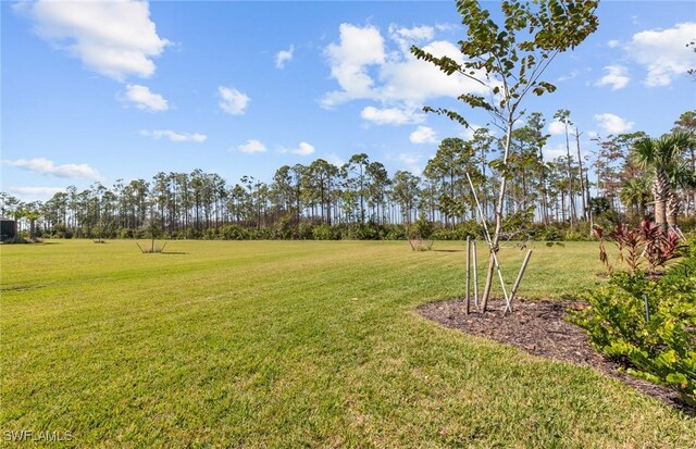 14111 Calaveras Ct, Estero, FL 33928 - view of grassy yard with view of scattered trees