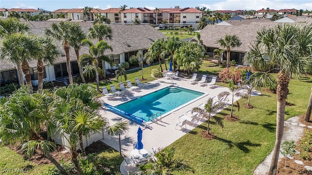 view of pool with a patio and a lawn